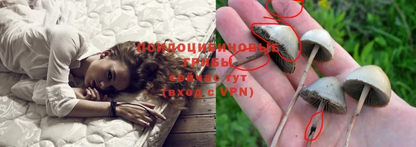 гашик Алексеевка