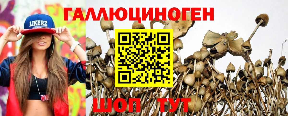 Галлюциногенные грибы Psilocybe  Вход с VPN  Уварово 